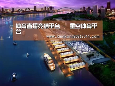案例展示八