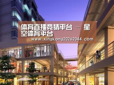 案例展示一