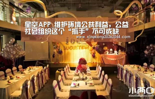 星空APP_维护环境公共利益,公益社会组织这个“抓手”不可或缺(图2) 星空APP